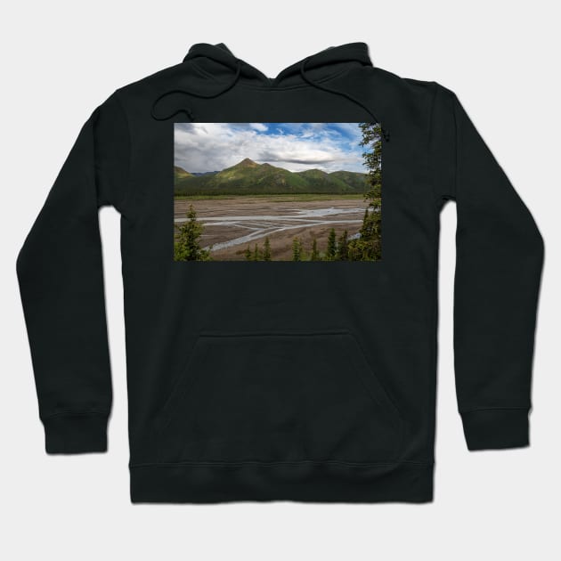 Shallow Riverbed Hoodie by andykazie